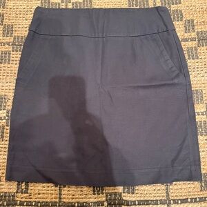Banana Republic Women's Dark Gray Pencil Skirt size 10P